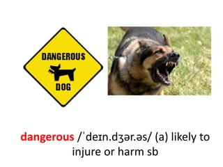 dangerous /ˈdeɪn.dʒər.əs/ (a) likely to
injure or harm sb
 