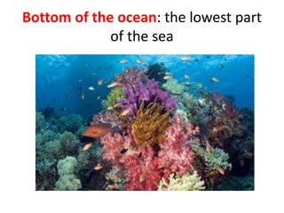 Bottom of the ocean: the lowest part
of the sea
 