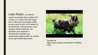 Lobo Robot: Los últimos
meses las granjas de la ciudad de K
Lizarazu, en Japón han sido hogar
de un robot lobo que inspira miedo
de solo verle la cara. Su finalidad no
es aterrorizar a las personas, súper
monster Wolf así llamado, fue
diseñado para espantar a
hambrientos animales que
representan peligros para los cultivos
de los agricultores japoneses.
Tomado de:
https://www.youtube.com/watch?v=eQkAkl
mjI3o
 