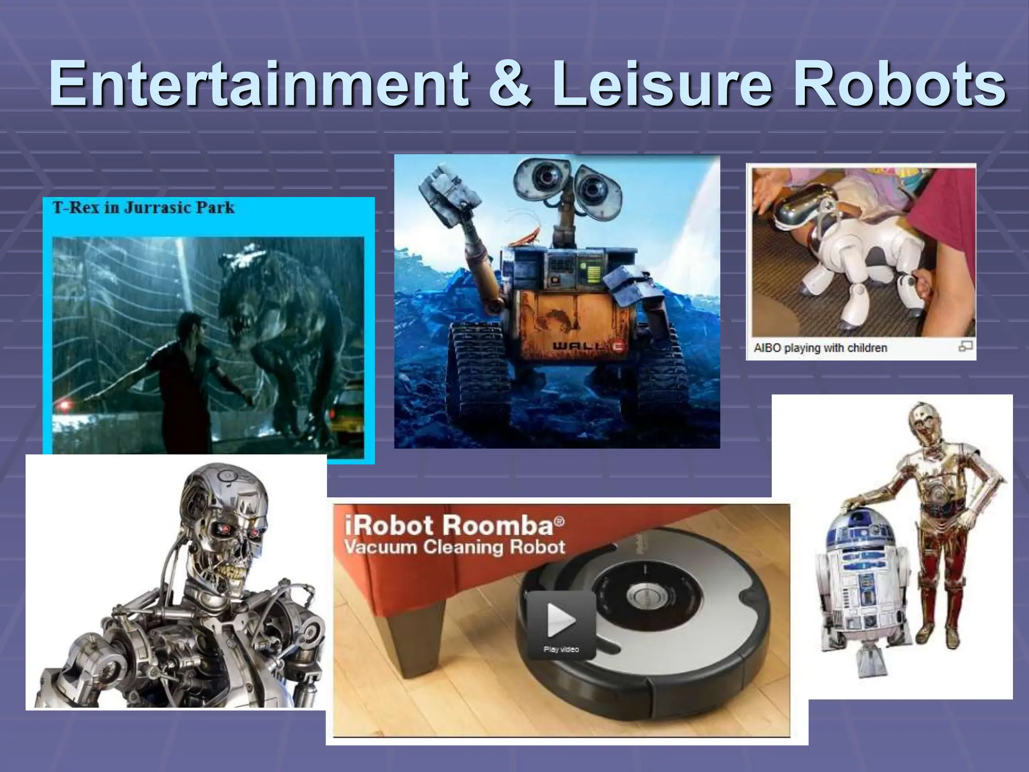 Entertainment & Leisure Robots
 