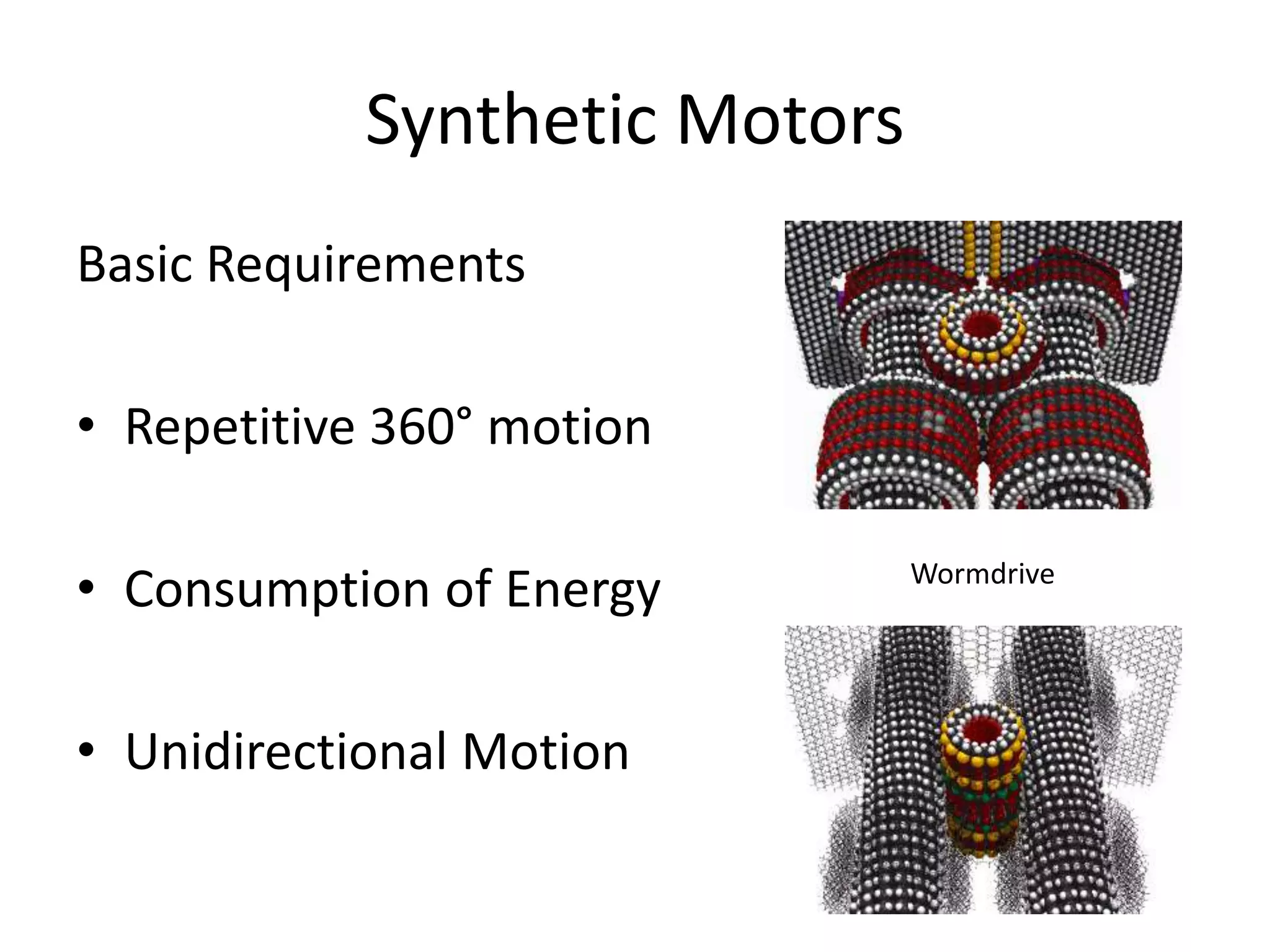 Synthetic Motors
Basic Requirements
• Repetitive 360° motion
• Consumption of Energy
• Unidirectional Motion
Wormdrive
 