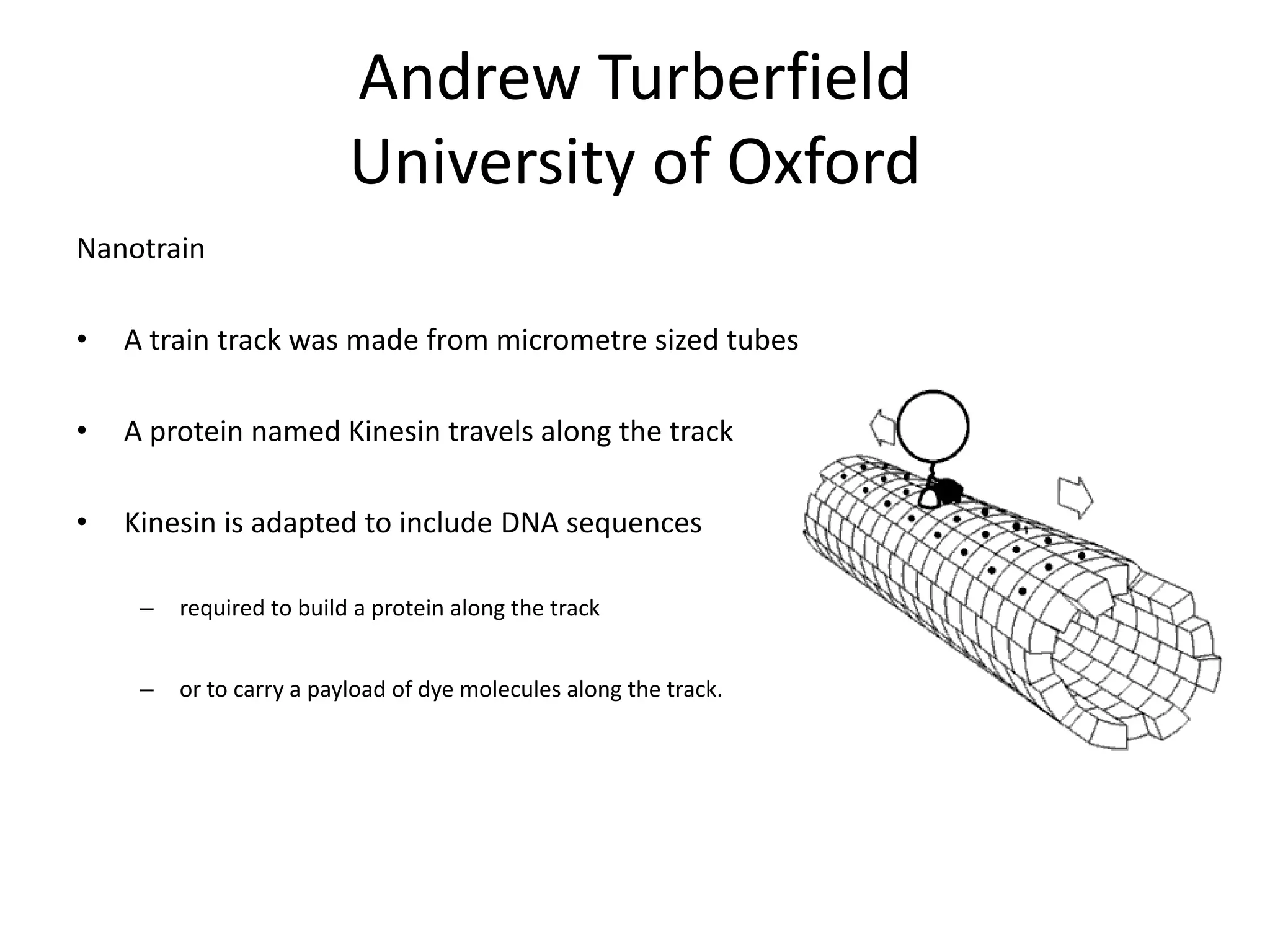 Andrew Turberfield
University of Oxford
Nanotrain
• A train track was made from micrometre sized tubes
• A protein named Kinesin travels along the track
• Kinesin is adapted to include DNA sequences
– required to build a protein along the track
– or to carry a payload of dye molecules along the track.
 