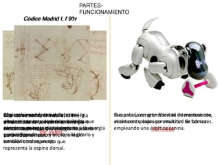 PARTES-
                                 FUNCIONAMIENTO
                           91r
        Códice Madrid I, f 90v




Este esquema representaésta tira lo
Cuandola rueda central, el la energía
Al movimiento deel muelle,
El girar se suelta la rueda central             Presenta lacon gran libertad de movimiento,
                                                Sus patas, característica de interactuar con
movimiento de convierte en cuerdas que
alternativamente de las dos energía
proporciona un motor de muelles que
almacenada se una pierna, dividida              están controladas por multitud de sensores.
                                                el entorno y expresar emoción. Se fabrica
en tres segmentos elástica gracias poleas y
mecánica en los pies atravesando a la energía
terminan de rotación, energía necesaria
almacena energía que deberían                   empleando una estética canina.
                                                                 Ver vídeo
                 Ver vídeo
ser lamoverel musloel hombre al girarlo y
puntos fijos. por
proporcionada
para tibia, el león. y el pie, añadió
enrollarlo sobre un eje.
también otro segmento que
representa la espina dorsal.
 