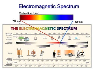 Electromagnetic Spectrum
Visible Spectrum
700 nm 400 nm
 