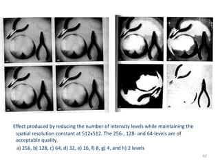 Effect produced by reducing the number of intensity levels while maintaining the
spatial resolution constant at 512x512. The 256-, 128- and 64-levels are of
acceptable quality.
a) 256, b) 128, c) 64, d) 32, e) 16, f) 8, g) 4, and h) 2 levels
62
 