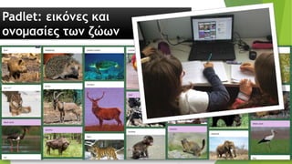 Padlet: εικόνες και
ονομασίες των ζώων
 