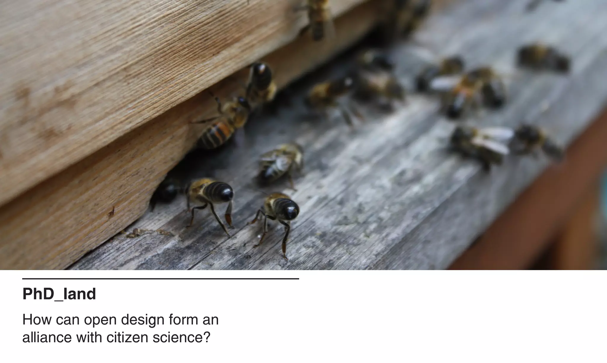 PhD_land
How can open design form an
alliance with citizen science?
 