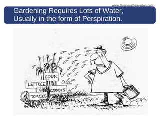 Gardening Requires Lots of Water, Usually in the form of Perspiration. www.BusinessBeaverton.com 