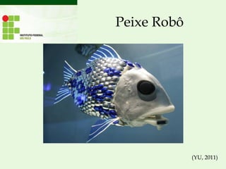 Peixe Robô
(YU, 2011)
 