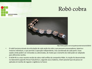 Robô cobra
• O robô funciona através da articulação de cada seção da cobra, que possuem processadores, bateria e
motores individuais, o que permite a operação independente, mas coordenada de cada parte. Essas
seções ainda podem ser removidas ou adicionadas, de modo que o tamanho do robô pode ser adaptado
para diferentes tarefas.
• O ACM-R5 é a mais recente versão da cobra robô anfíbia da companhia HiBot. A criação foi desenvolvida
no laboratório japonês Hirose Fukushima e, segundo seus criadores, é bem possível que ela possa ser
aplicada em tarefas de regaste e vigilância no futuro
http://www.jupiter.com.br/jupiter/portal/noticia/id/28242
 