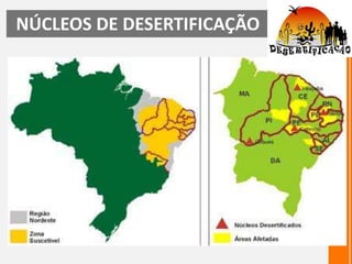 NÚCLEOS DE DESERTIFICAÇÃO