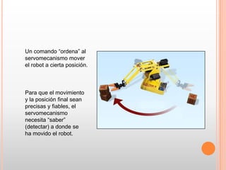 Tiene cinco sentidos altamente desarrollados.