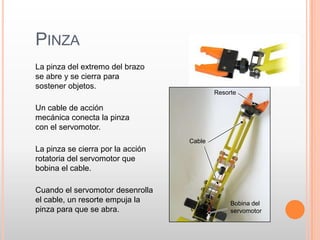 Tiene dos brazos, amplio rango de movimientos, dos manos muy versátiles con limitada velocidad y fuerza.