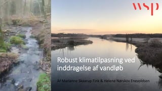 Robust klimatilpasning ved
inddragelse af vandløb
Af Marianne Skaarup Fink & Helene Nørskov Enevoldsen
 