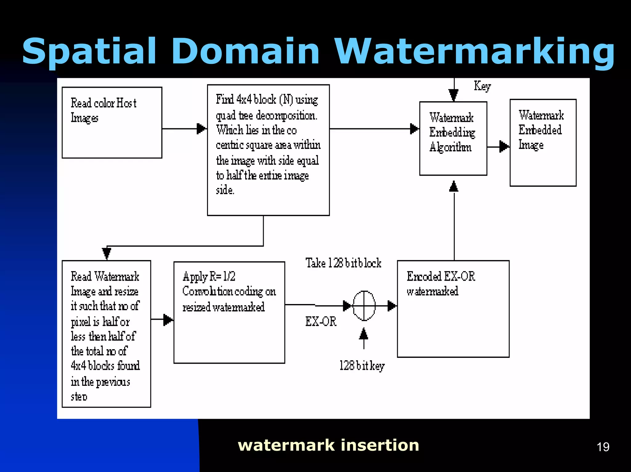 Spatial Domain Watermarking




         watermark insertion   19
 
