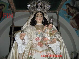 FIN A M D PERDIGON 