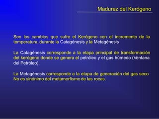 Madurez del Kerógeno
Son los cambios que sufre el Kerógeno con el incremento de la
temperatura, durante la Catagénesis y la Metagénesis.
La Catagénesis corresponde a la etapa principal de transformación
del kerógeno donde se genera el petróleo y el gas húmedo (Ventana
del Petróleo).
La Metagénesis corresponde a la etapa de generación del gas seco.
No es sinónimo del metamorfismo de las rocas.
 
