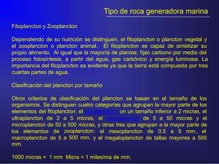 Tipo de roca generadora marina
Fitoplancton y Zooplancton
Dependiendo de su nutrición se distinguen, el fitoplancton o plancton vegetal y
el zooplancton o plancton animal. El fitoplancton es capaz de sintetizar su
propio alimento. Al igual que la mayoría de plantas, fijan carbono por medio del
proceso fotosíntesis, a partir del agua, gas carbónico y energía luminosa. La
importancia del fitoplancton es evidente ya que la tierra está compuesta por tres
cuartas partes de agua.
Clasificación del plancton por tamaño
Otros criterios de clasificación del plancton se basan en el tamaño de los
organismos. Se distinguen cuatro categorías que agrupan la mayor parte de los
elementos del fitoplancton: el picoplancton con un tamaño inferior a 2 micras, el
ultraplancton de 2 a 5 micras, el nanoplancton de 5 a 50 micras y el
de
el
microplancton de 50 a 500 micras,
zooplancton:
a 500 mm. y
y otras tres que agrupan a la mayor parte
los elementos de el mesoplancton de 0.5 a 5 mm.,
macroplancton de 5
mm.
el megaloplancton de tallas mayores a 500
1000 micras = 1 mm Micra = 1 milesima de mm.
 