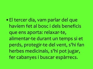 El tercer dia, vam parlar del que havíem fet al bosc i dels beneficis que ens aporta: relaxar-te, alimentar-te durant un temps si et perds, protegir-te del vent, s'hi fan herbes medicinals, s'hi pot jugar, fer cabanyes i buscar espàrrecs. 