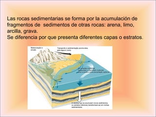 Las rocas sedimentarias se forma por la acumulación de
fragmentos de sedimentos de otras rocas: arena, limo,
arcilla, grava.
Se diferencia por que presenta diferentes capas o estratos .
 