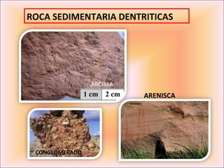 ROCA SEDIMENTARIA DENTRITICAS




                       ARENISCA




 CONGLOMERADO
 