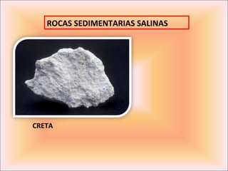 ROCAS SEDIMENTARIAS SALINAS




CRETA
 