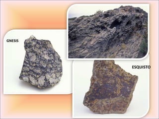 GNESIS




         ESQUISTO
 