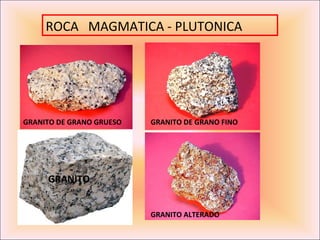 ROCA MAGMATICA - PLUTONICA




GRANITO DE GRANO GRUESO   GRANITO DE GRANO FINO




     GRANITO


                          GRANITO ALTERADO
 