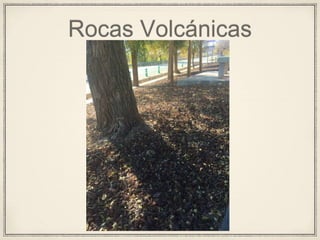 Rocas Volcánicas
 