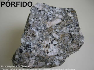 PÓRFIDO Roca magmática  FILONIANA Textura porfídica : grandes cristales ( fenocristales ) en una matriz microcristalina 