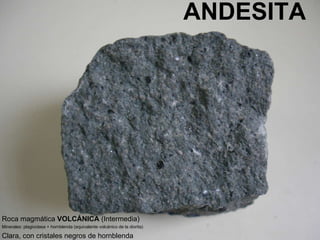 ANDESITA Roca magmática  VOLCÁNICA  (Intermedia) Minerales: plagioclasa + hornblenda (equivalente volcánico de la diorita) Clara, con cristales negros de hornblenda 