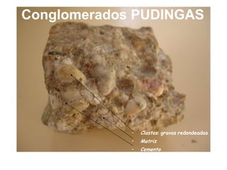 Conglomerados PUDINGAS Clastos :  gravas   redondeadas Matriz   Cemento 