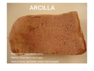 ARCILLA Clastos: muy finos (tamaño polvo) Plástica, forma barro con el agua Suave al tacto, muy blanda, huele a tierra mojada 