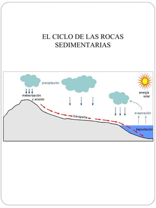 EL CICLO DE LAS ROCAS
    SEDIMENTARIAS
 