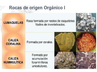 Rocas 8ºbásico