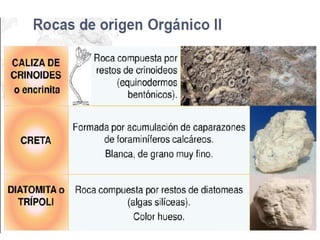 Rocas 8ºbásico