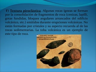 F) Textura piroclástica. Algunas rocas ígneas se forman
por la consolidación de fragmentos de roca (cenizas, lapilli,
gotas fundidas, bloques angulares arrancados del edificio
volcánico, etc.) emitidos durante erupciones volcánicas. No
están formadas por cristales y su aspecto recuerda al de las
rocas sedimentarias. La toba volcánica es un ejemplo de
este tipo de roca.
 