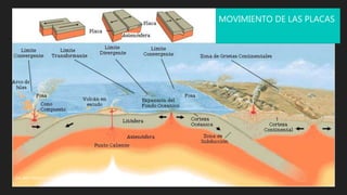 MOVIMIENTO DE LAS PLACAS
ING. AGR. FRANCISCO SUAREZ MSC
 