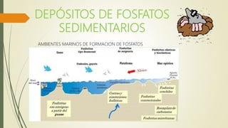 DEPÓSITOS DE FOSFATOS
SEDIMENTARIOS
AMBIENTES MARINOS DE FORMACION DE FOSFATOS
 