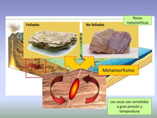 Las rocas son sometidas
a gran presión y
temperatura
Foliadas No foliadas
Metamorfismo
Rocas
metamórficas
 
