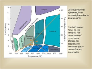 Distribución de las
diferentes facies
metamórficas sobre un
diagrama P-T.
Los límites entre
facies no son
abruptos y se
muestran aquí
como zonas
blancas, las
asociaciones
minerales que se
desarrollan son
intermedias
 