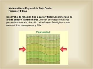Metamorfismo Regional de Bajo Grado:
Pizarras y Filitas
Desarrollo de foliación tipo pizarra y filita: Los minerales de
arcilla pueden transformarse , crecen orientadas en planos
perpendiculares a la dirección del esfuerzo. Se originan rocas
metamórficas como pizarra y filita.
 