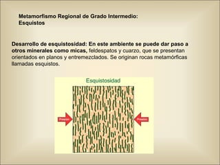 Metamorfismo Regional de Grado Intermedio:
Esquistos
Desarrollo de esquistosidad: En este ambiente se puede dar paso a
otros minerales como micas, feldespatos y cuarzo, que se presentan
orientados en planos y entremezclados. Se originan rocas metamórficas
llamadas esquistos.
 