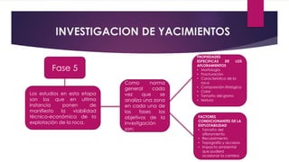 INVESTIGACION DE YACIMIENTOS 
Los estudios en esta etapa 
son los que en ultima 
instancia ponen de 
manifiesto la viabilidad 
técnico-económica de la 
explotación de la roca. 
Como norma 
general cada 
vez que se 
analiza una zona 
en cada una de 
las fases los 
objetivos de la 
investigación 
son: 
Fase 5 
PROPIEDADES 
ESPECIFICAS DE LOS 
AFLORAMIENTOS 
• Morfología 
• Fracturación 
• Característica de la 
roca 
• Composición litológica 
• Color 
• Tamaño del grano 
• textura 
FACTORES 
CONDICIONANTES DE LA 
EXPLOTABILIDAD 
• Tamaño del 
afloramiento 
• Recubrimiento 
• Topografía y accesos 
• Impacto ambiental 
que pudiera 
ocasionar la cantera 
 