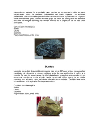 (desarrollarían texturas de acumulado), pero también se encuentran incluidas en rocas 
basálticas en forma de enclaves procedentes del manto superior. Los enclaves 
peridotíticos profundos suelen presentar texturas metamórficas y por lo tanto su origen no 
sería directamente ígneo. Dentro de este grupo de rocas se dintinguirían los términos 
de dunita, harzburgita, wehrlita y lherzolita en función de la proporción de las tres fases 
principales. 
Composición mineralógica: 
Biotita 
Olivino 
Espinelas 
Plagioclasa Cálcica, entre otros 
Dunitas 
La dunita es un tipo de peridotita compuesta casi en un 90% por olivino, con pequeñas 
cantidades de piroxenos y menas metálicas entre las que predomina el platino y la 
cromita. Se trata de una roca que ha sido trabajada con propósitos ornamentales por su 
estructura concéntrica donde el color verde oscuro del olivino fresco de su interior 
contrasta con el pardo rojizo del olivino alterado en su exterior. También tiene usos 
industriales en siderurgia y en firmes para carretera. 
Composición mineralógica: 
Biotita 
Olivino 
Espinelas 
Plagioclasa Cálcica, entre otros 
