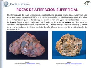 Un último grupo de rocas sedimentarias lo constituyen las rocas de alteración superficial: son
rocas que sufren una meteorización in situ y una diagénesis, sin erosión ni transporte. Proceden
de la meteorización química de rocas ígneas en climas húmedos y generalmente cálidos.
La laterita forma a suelos tropicales rojizos ricos en Fe y Al. La bauxita son depósitos de
alteración con aspecto nodular o concreciones de Al (tonos claros) y Fe (tonos oscuros). El caolín
es la roca formada por el mineral caolinita, de color blanco, procedente de la meteorización de
los feldespatos.
ROCAS DE ALTERACIÓN SUPERFICIAL
Laterita
Imagen de Eurico Zimbres en Wikimedia commons. Licencia cc
Bauxita
Imagen de Svdmolen en Wikimedia commons. Dominio público
 