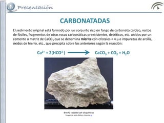 El sedimento original está formado por un conjunto rico en fango de carbonato cálcico, restos
de fósiles, fragmentos de otras rocas carbonáticas preexistentes, detríticos, etc. unidos por un
cemento o matriz de CaCO3 que se denomina micrita con cristales < 4 μ e impurezas de arcilla,
óxidos de hierro, etc., que precipita sobre los anteriores según la reacción:
Ca2+ + 2(HCO3-) CaCO3 + CO2 + H2O
CARBONATADAS
Brecha calcárea con aloquímicos
Imagen de Jesús Melero. Licencia cc
 