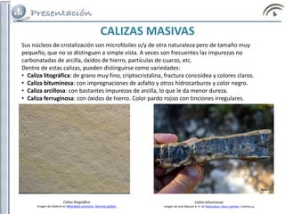 Sus núcleos de cristalización son microfósiles o/y de otra naturaleza pero de tamaño muy
pequeño, que no se distinguen a simple vista. A veces son frecuentes las impurezas no
carbonatadas de arcilla, óxidos de hierro, partículas de cuarzo, etc.
Dentro de estas calizas, pueden distinguirse como variedades:
• Caliza litográfica: de grano muy fino, criptocristalina, fractura concoidea y colores claros.
• Caliza bituminosa: con impregnaciones de asfalto y otros hidrocarburos y color negro.
• Caliza arcillosa: con bastantes impurezas de arcilla, lo que le da menor dureza.
• Caliza ferruginosa: con óxidos de hierro. Color pardo rojizo con tinciones irregulares.
CALIZAS MASIVAS
Caliza litográfica
Imagen de Daderot en Wikimedia commons. Dominio público
Caliza bituminosa
Imagen de José Manuel A. V. en Naturaleza, sitios y gentes. Licencia cc
 