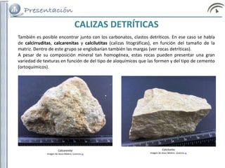 También es posible encontrar junto con los carbonatos, clastos detríticos. En ese caso se habla
de calcirruditas, calcarenitas y calcilutitas (calizas litográficas), en función del tamaño de la
matriz. Dentro de este grupo se englobarían también las margas (ver rocas detríticas).
A pesar de su composición mineral tan homogénea, estas rocas pueden presentar una gran
variedad de texturas en función de del tipo de aloquímicos que las formen y del tipo de cemento
(ortoquímicos).
CALIZAS DETRÍTICAS
Calcarenita
Imagen de Jesús Melero. Licencia cc
Calcilutita
Imagen de Jesús Melero. Licencia cc
 
