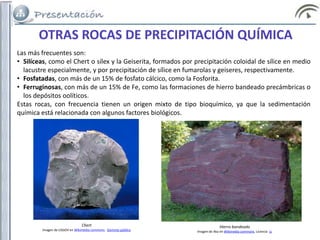 Las más frecuentes son:
• Silíceas, como el Chert o sílex y la Geiserita, formados por precipitación coloidal de sílice en medio
lacustre especialmente, y por precipitación de sílice en fumarolas y geiseres, respectivamente.
• Fosfatadas, con más de un 15% de fosfato cálcico, como la Fosforita.
• Ferruginosas, con más de un 15% de Fe, como las formaciones de hierro bandeado precámbricas o
los depósitos oolíticos.
Estas rocas, con frecuencia tienen un origen mixto de tipo bioquímico, ya que la sedimentación
química está relacionada con algunos factores biológicos.
OTRAS ROCAS DE PRECIPITACIÓN QUÍMICA
Hierro bandeado
Imagen de Aka en Wikimedia commons. Licencia cc
Chert
Imagen de USGOV en Wikimedia commons. Dominio público
 